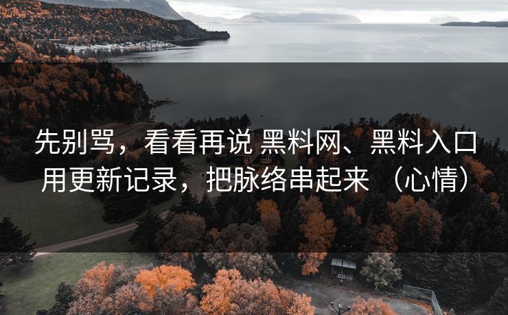 先别骂，看看再说 黑料网、黑料入口用更新记录，把脉络串起来 （心情）
