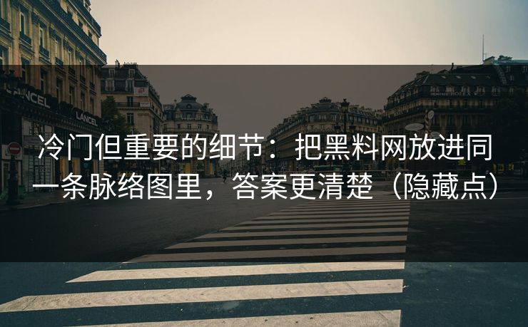 冷门但重要的细节：把黑料网放进同一条脉络图里，答案更清楚（隐藏点）