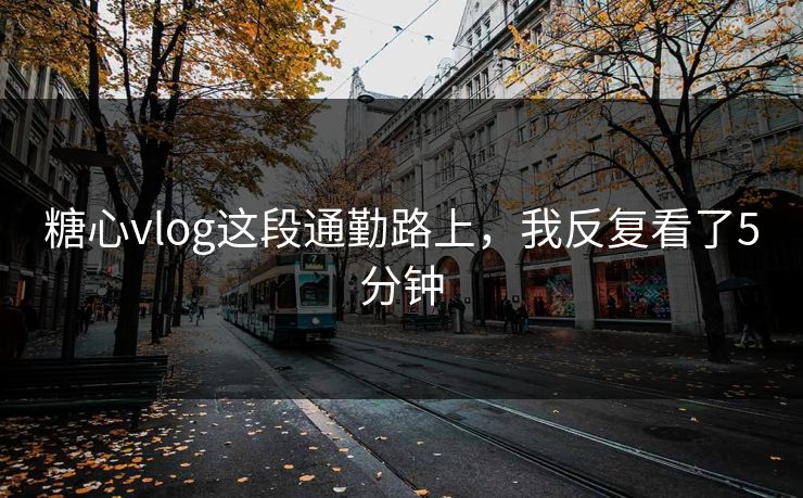 糖心vlog这段通勤路上，我反复看了5分钟