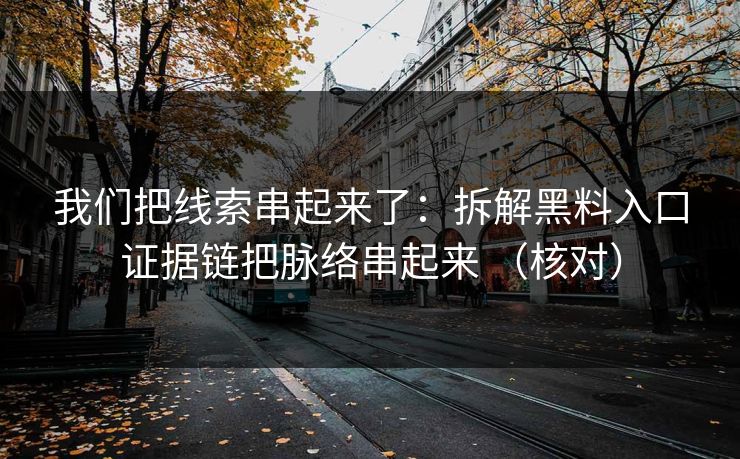 我们把线索串起来了：拆解黑料入口证据链把脉络串起来 （核对）