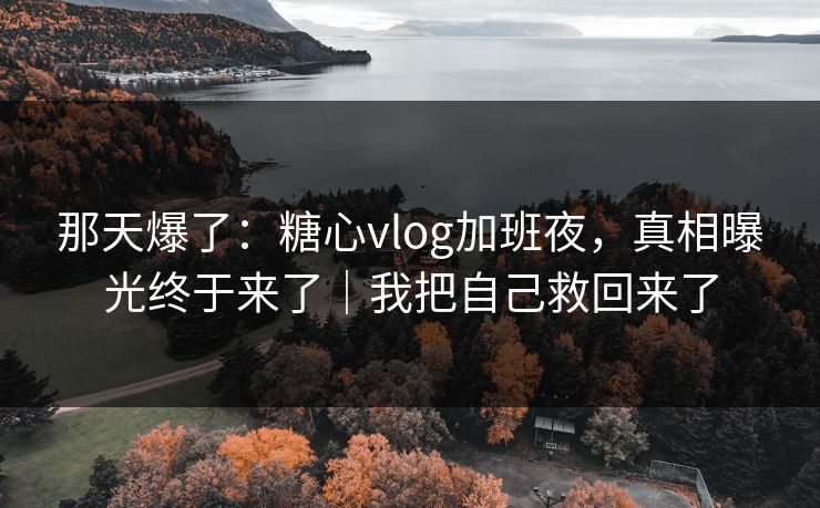 那天爆了：糖心vlog加班夜，真相曝光终于来了｜我把自己救回来了