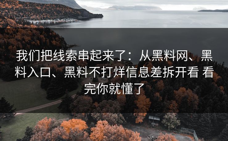 我们把线索串起来了：从黑料网、黑料入口、黑料不打烊信息差拆开看 看完你就懂了