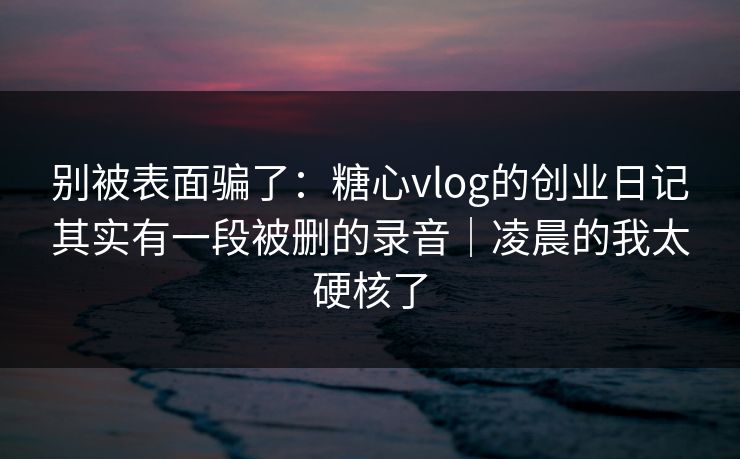 别被表面骗了：糖心vlog的创业日记其实有一段被删的录音｜凌晨的我太硬核了