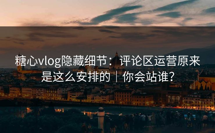 糖心vlog隐藏细节：评论区运营原来是这么安排的｜你会站谁？
