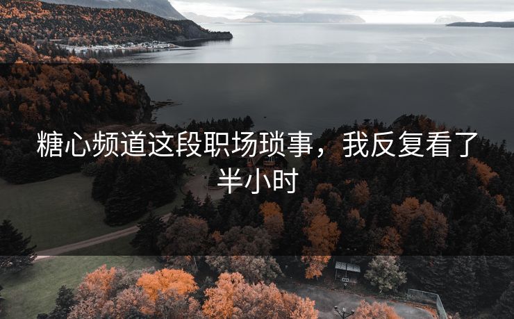 糖心频道这段职场琐事，我反复看了半小时