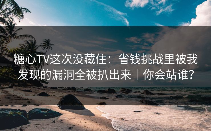 糖心TV这次没藏住：省钱挑战里被我发现的漏洞全被扒出来｜你会站谁？