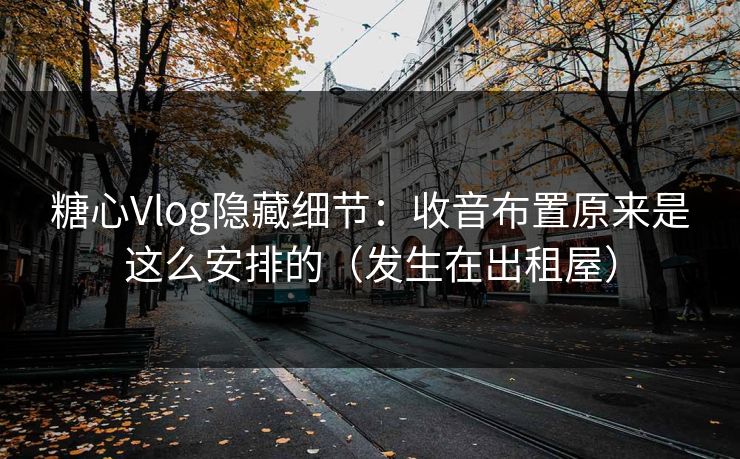 糖心Vlog隐藏细节：收音布置原来是这么安排的（发生在出租屋）